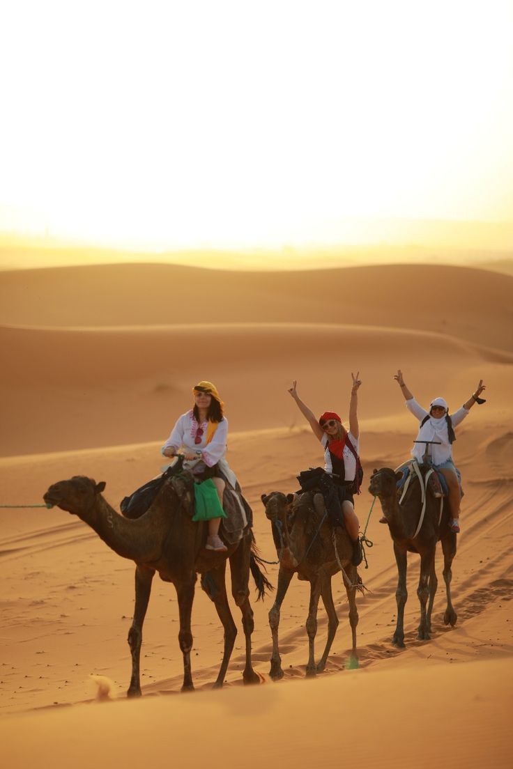 Sahara Desert Experience: What You Need to Know